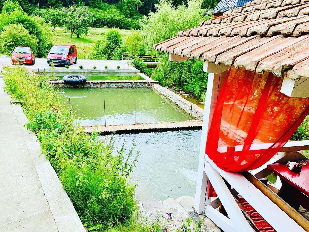 Chalet Vedmezhe Polyana  Exterior foto
